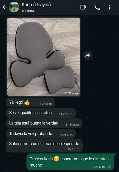 Karla V.